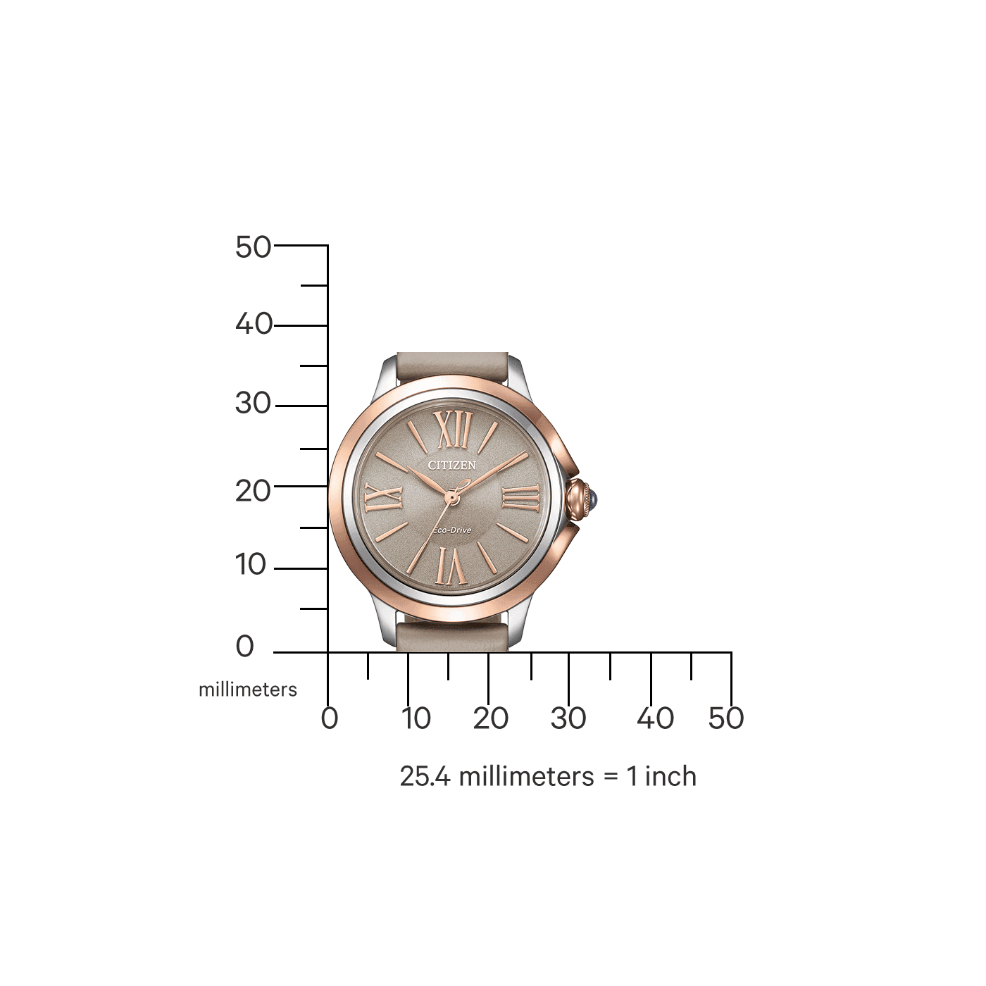 Citizen EM1166-01Z Kadın Kol Saati — görsel 2